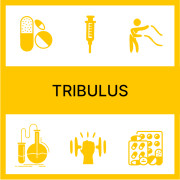 Трибулус (3)